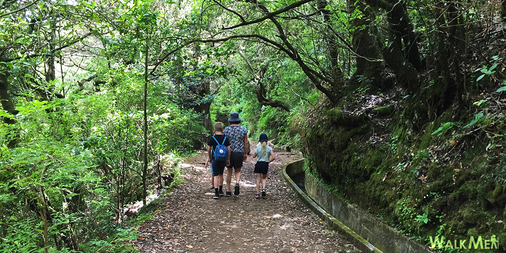 Family hiking on a forest trail